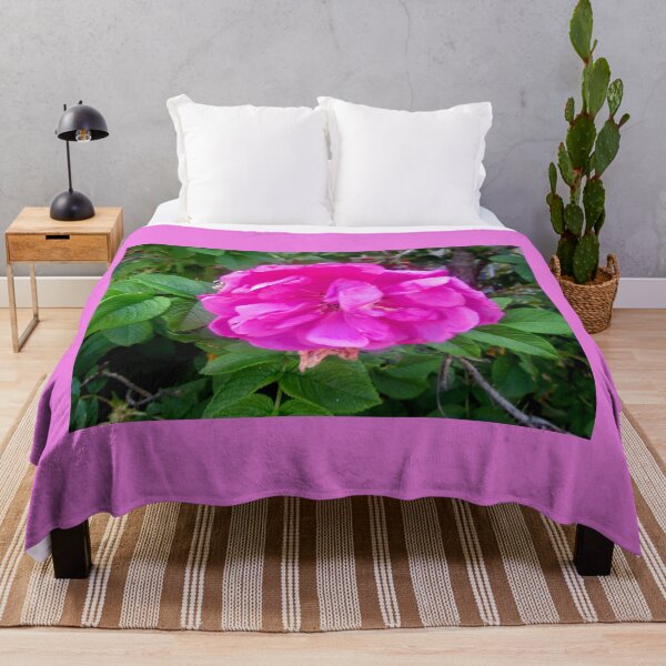 Item preview, Pink Rose in the rain designed and sold by Shulie1.