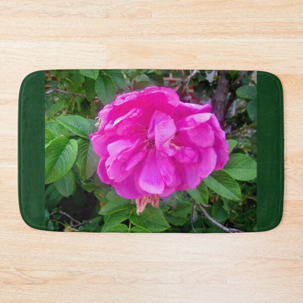 Item preview, Pink Rose in the rain designed and sold by Shulie1.