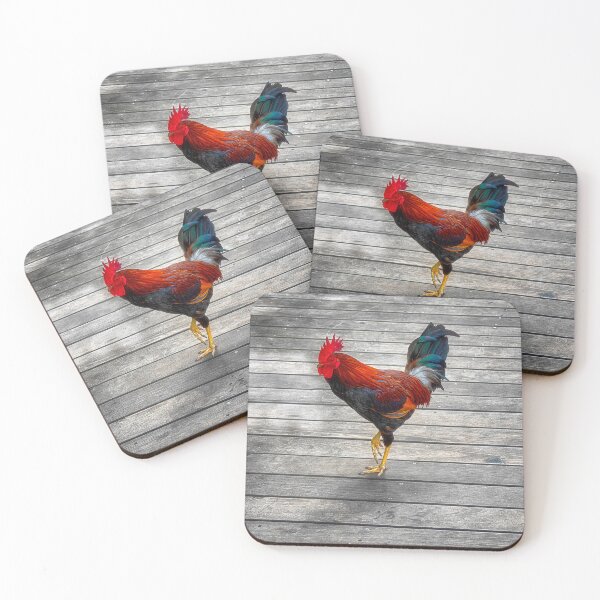 Item preview, Colorful Key West Resident designed and sold by Kathy Weaver.