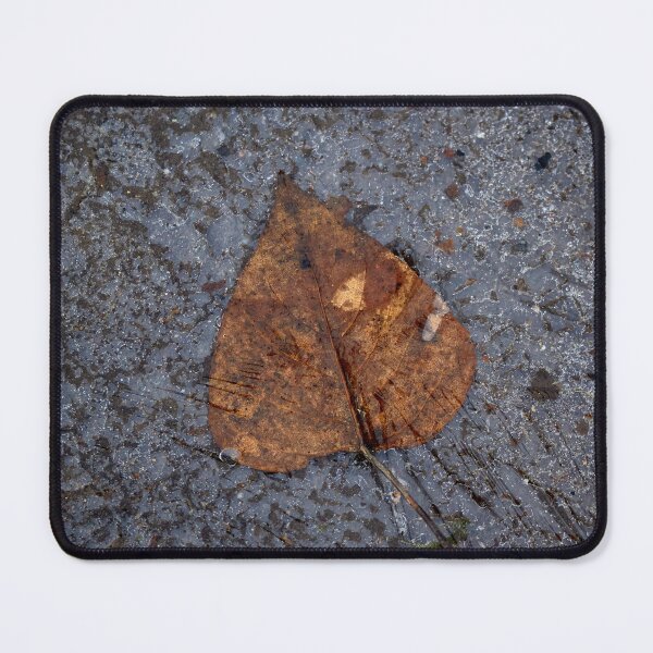 Item preview, Leaf and Ice designed and sold by couragesings.