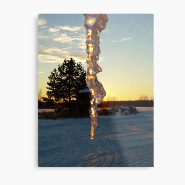 Icicle at Sunset Metal Print