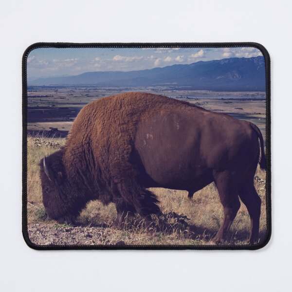 Item preview, Bison - Montana designed and sold by Lostlogo.