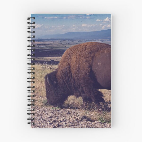 Item preview, Bison - Montana designed and sold by Lostlogo.