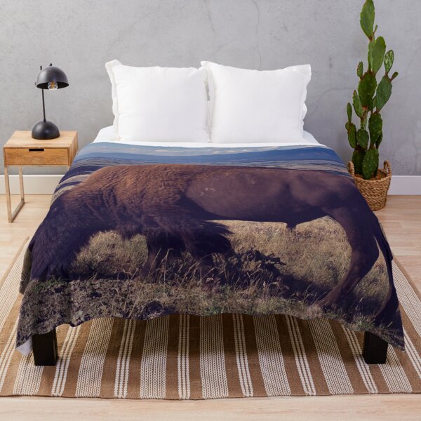 Item preview, Bison - Montana designed and sold by Lostlogo.