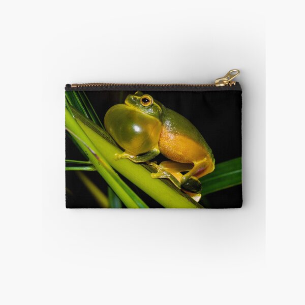 Item preview, Dainty Green Tree Frog designed and sold by Derek Byrne.
