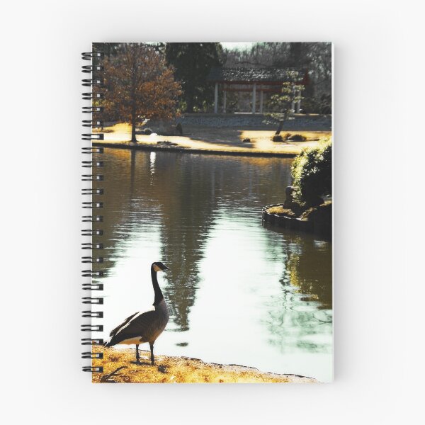 Item preview, Morning Reflection designed and sold by LiamNeesons.