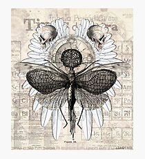 Renewal Photographic Print