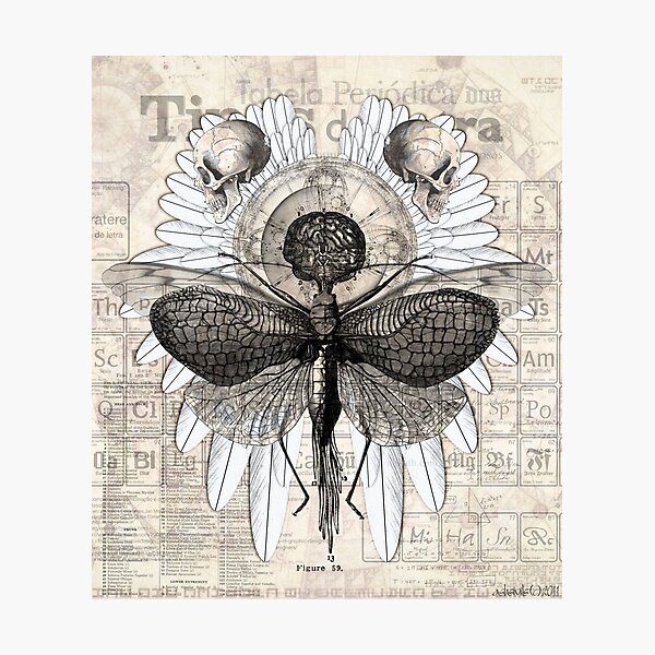 Renewal Photographic Print