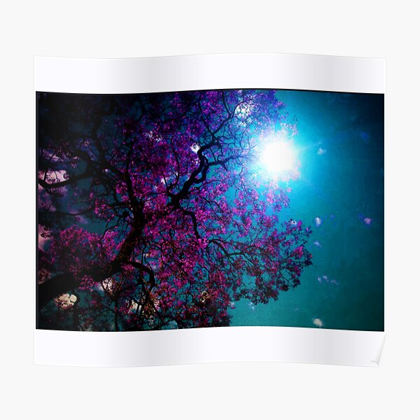 Spring Poster