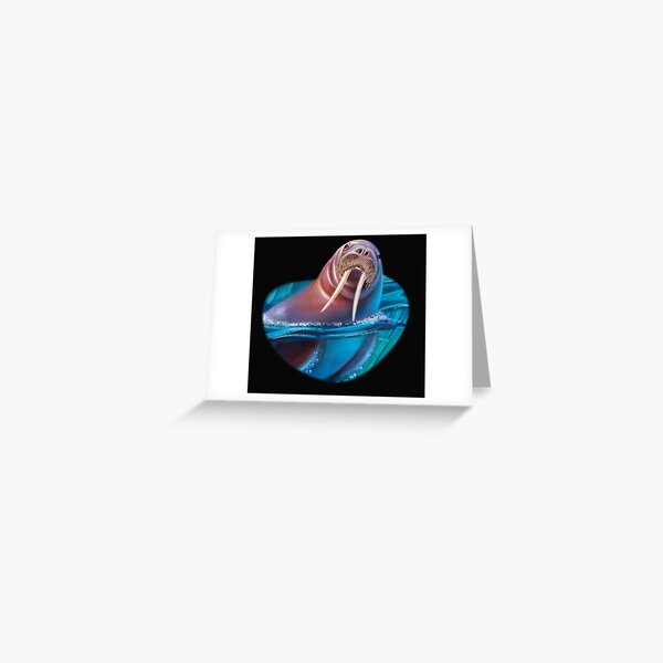 Arctic Walrus Greeting Card