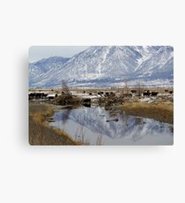 Pastoral Canvas Print