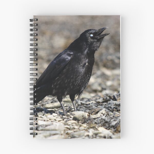 Item preview, Caw caw! designed and sold by GreyFeatherPhot.
