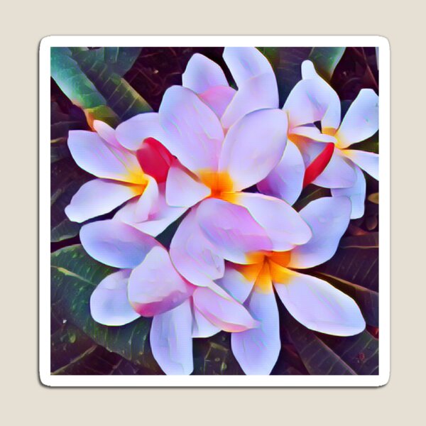 Magnet Boutonniere  Plumeria Botanical Boutique