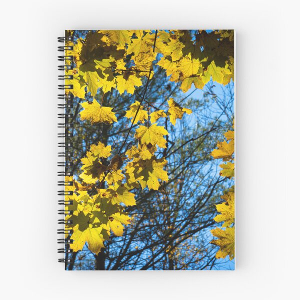 Item preview, Hope designed and sold by enigmaticprints.