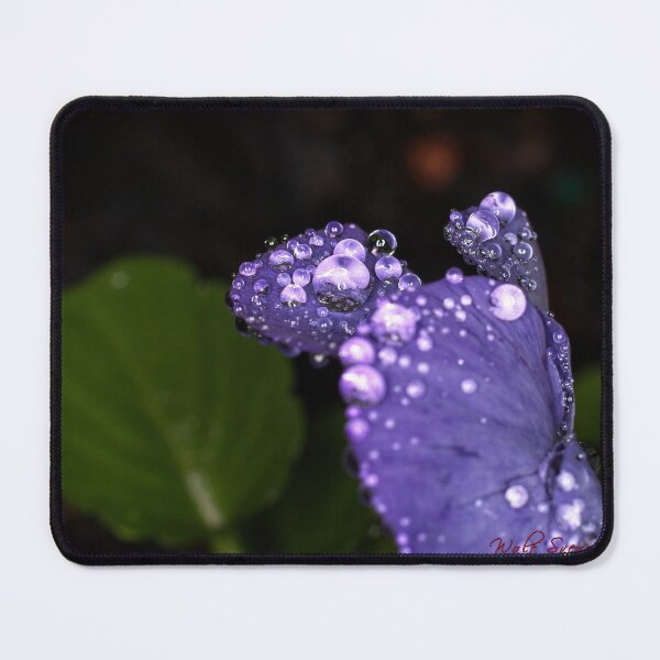 Item preview, Colour Macros in the Rain (17) designed and sold by Wolf Sverak Photography.
