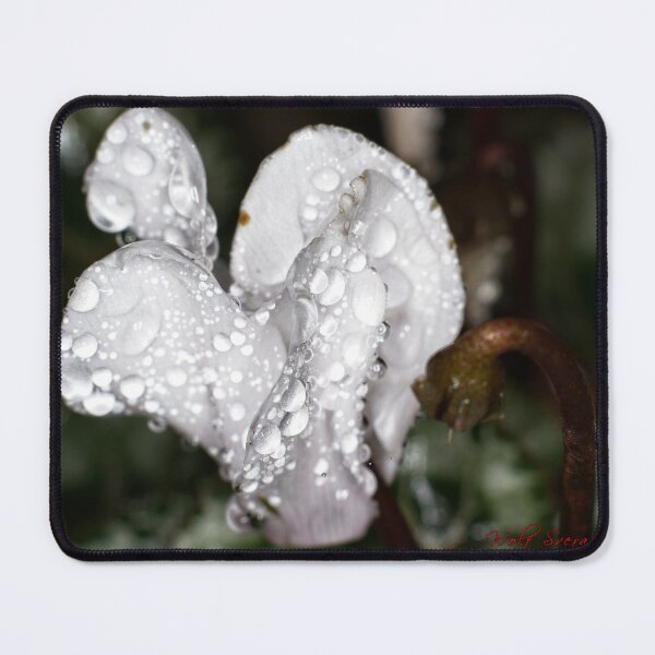 Item preview, Colour Macros in the Rain (16) designed and sold by Wolf Sverak Photography.