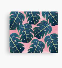 Monstera deliciosa Canvas Print