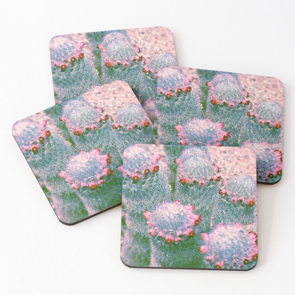 Item preview, Technicolor Cacti designed and sold by Lostlogo.