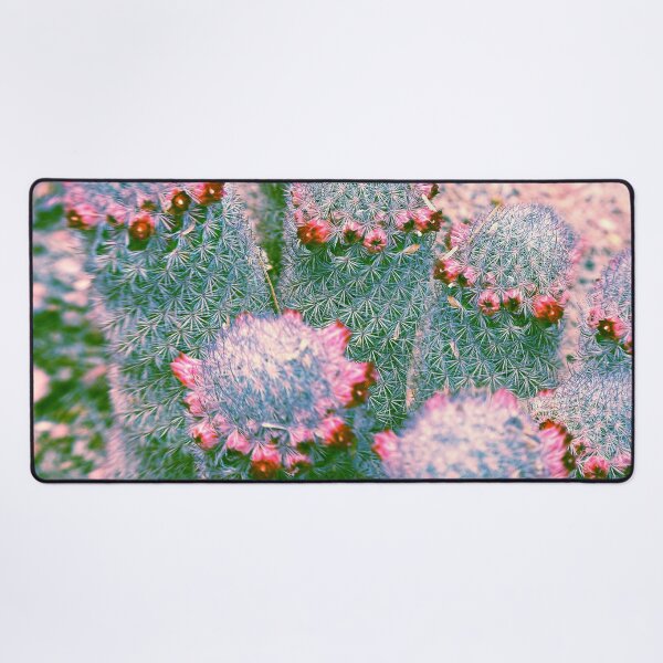 Item preview, Technicolor Cacti designed and sold by Lostlogo.