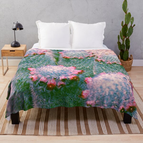 Item preview, Technicolor Cacti designed and sold by Lostlogo.