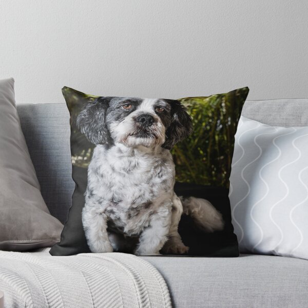 Item preview, Benji designed and sold by Colin White.