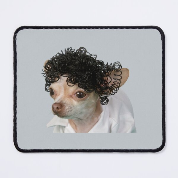 Item preview, a little chihuahua wearing a curly wig    designed and sold by Spaspart.