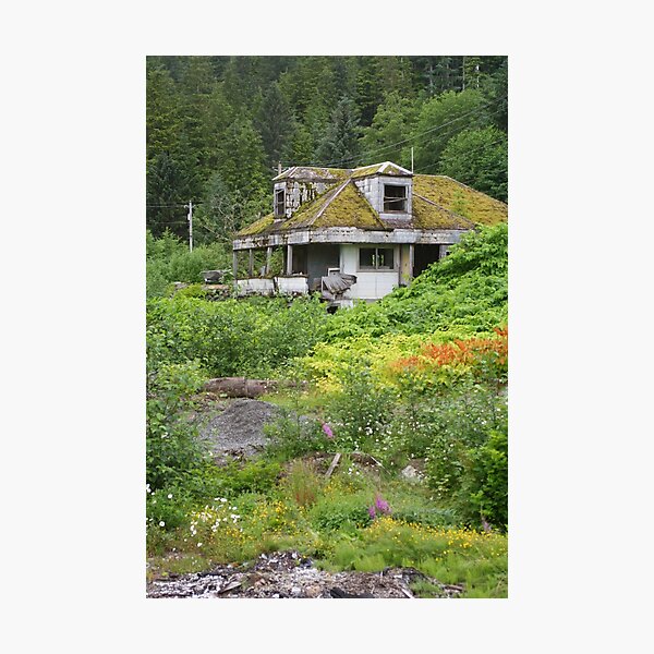 Item preview, Alaskan Fishing Village designed and sold by Janice Kubo.