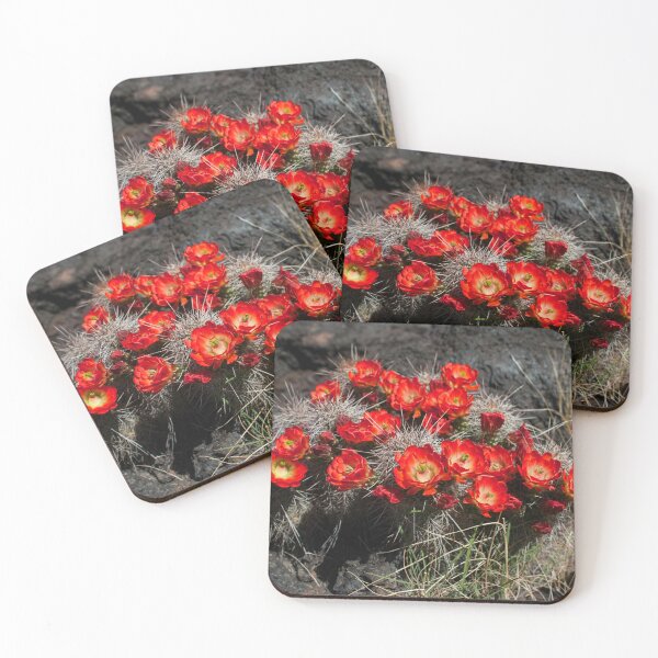 Item preview, Red Desert Flower - Cactus New Mexico designed and sold by Lostlogo.