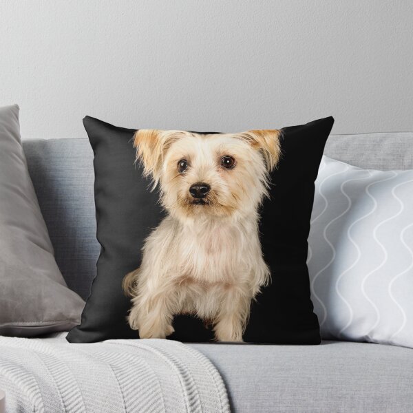 Item preview, Darby designed and sold by Colin White.