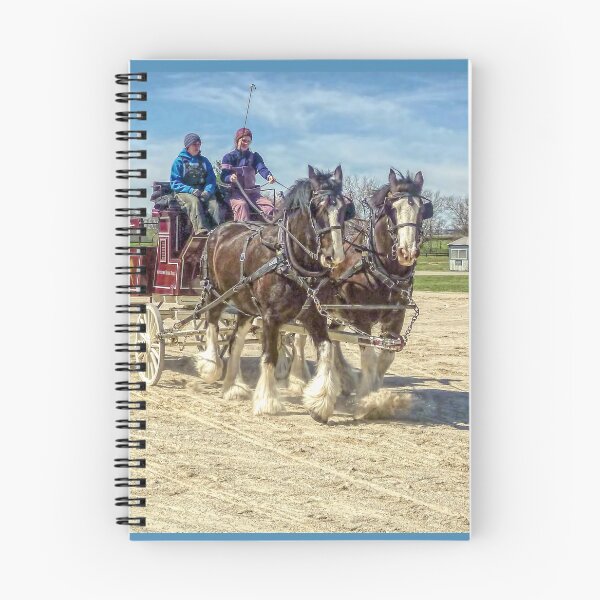 Item preview, Draft Horse Driving Clinic - Kentucky Horse Park designed and sold by TonyCrehan.