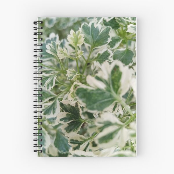 Item preview, Botanical Leaves Photography Designs  designed and sold by DHAMMISTYLES.