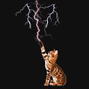 Cat Lightning. cat shooting lightning.