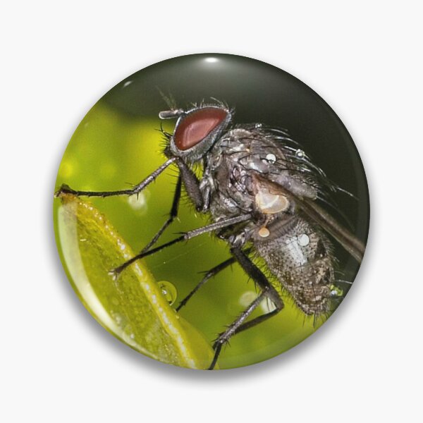 Item preview, Colour Macros in the Rain (14) designed and sold by Wolf Sverak Photography.