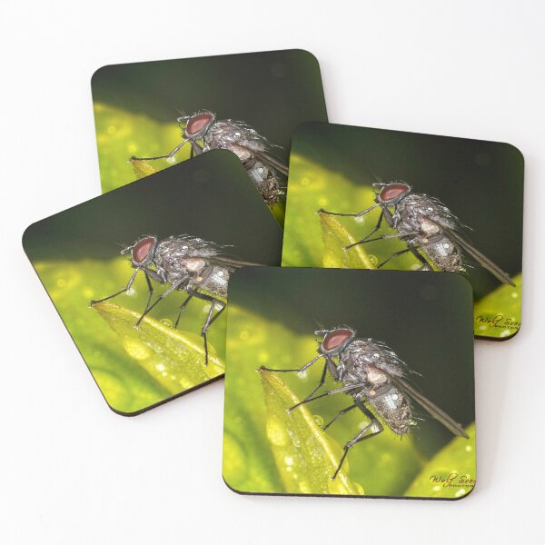Item preview, Colour Macros in the Rain (14) designed and sold by Wolf Sverak Photography.