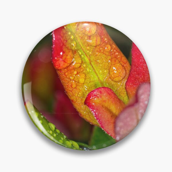 Item preview, Colour Macros in the Rain (13) designed and sold by Wolf Sverak Photography.