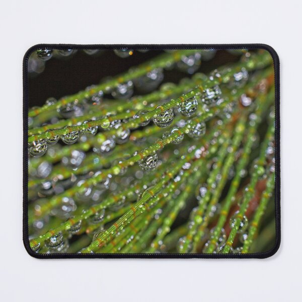 Item preview, Colour Macros in the Rain (12) designed and sold by Wolf Sverak Photography.