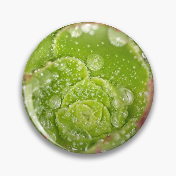 Item preview, Colour Macros in the Rain (11) designed and sold by Wolf Sverak Photography.