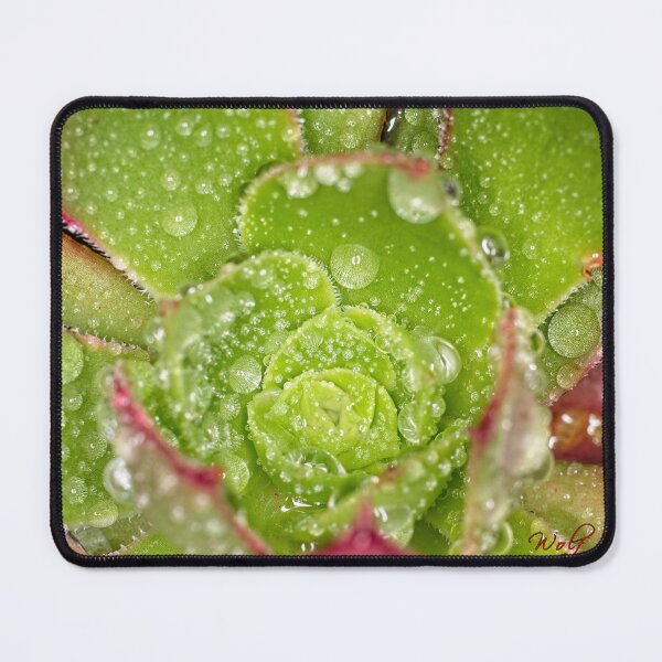 Item preview, Colour Macros in the Rain (11) designed and sold by Wolf Sverak Photography.
