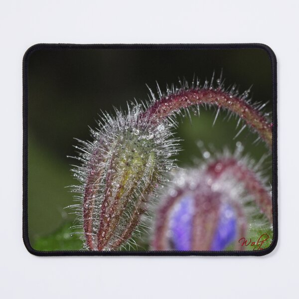 Item preview, Colour Macros in the Rain (9) designed and sold by Wolf Sverak Photography.