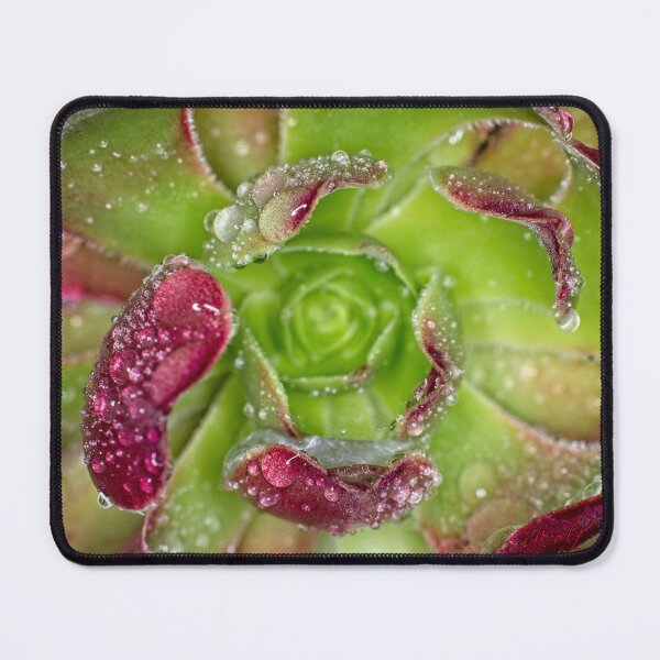 Item preview, Colour Macros in the Rain (8) designed and sold by Wolf Sverak Photography.