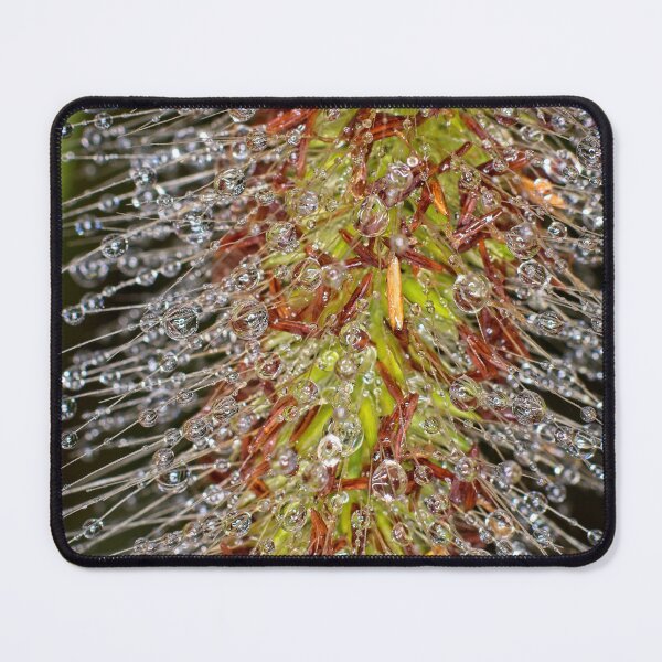 Item preview, Colour Macros in the Rain (7) designed and sold by Wolf Sverak Photography.