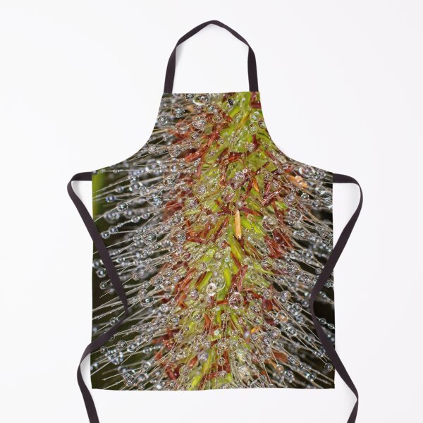 Item preview, Colour Macros in the Rain (7) designed and sold by Wolf Sverak Photography.