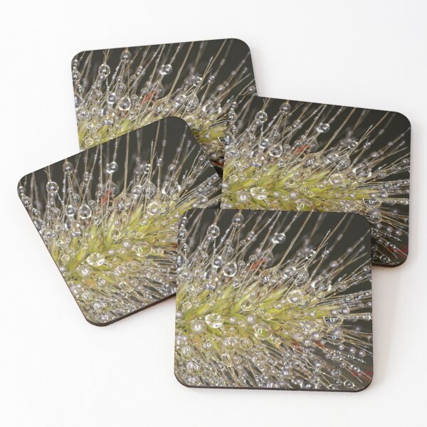 Item preview, Colour Macros in the Rain (6) designed and sold by Wolf Sverak Photography.