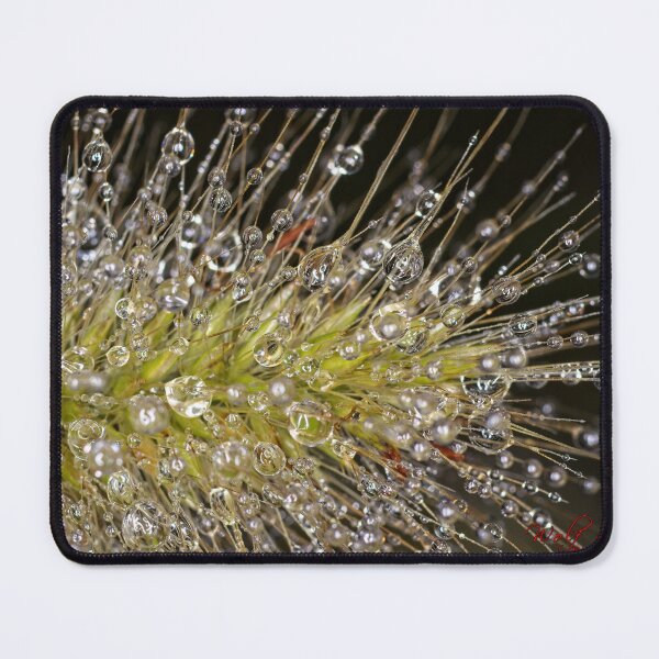 Item preview, Colour Macros in the Rain (6) designed and sold by Wolf Sverak Photography.