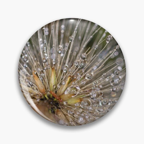 Item preview, Colour Macros in the Rain (5) designed and sold by Wolf Sverak Photography.