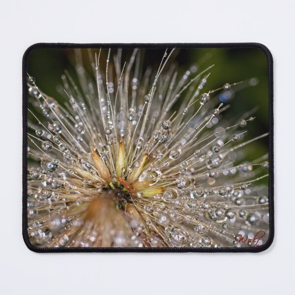 Item preview, Colour Macros in the Rain (5) designed and sold by Wolf Sverak Photography.