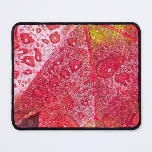 Item preview, Colour Macros in the Rain (4) designed and sold by Wolf Sverak Photography.