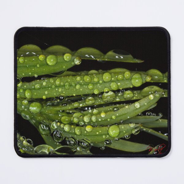 Item preview, Colour Macros in the Rain (3) designed and sold by Wolf Sverak Photography.