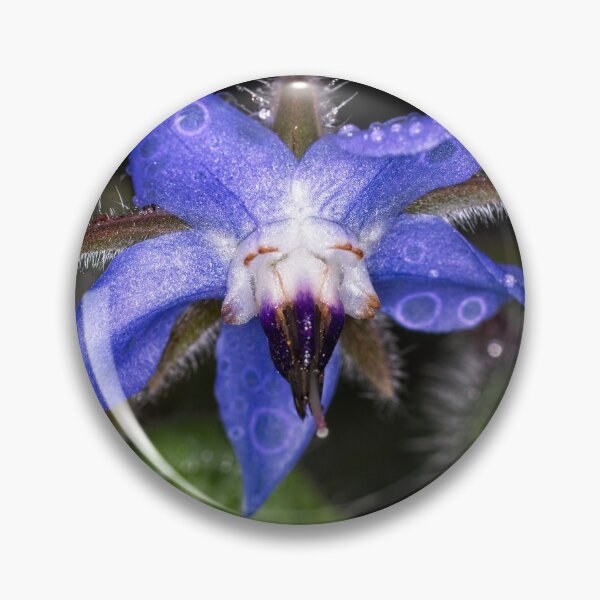 Item preview, Colour Macros in the Rain (2) designed and sold by Wolf Sverak Photography.