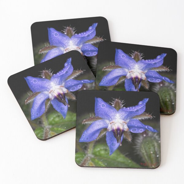 Item preview, Colour Macros in the Rain (2) designed and sold by Wolf Sverak Photography.